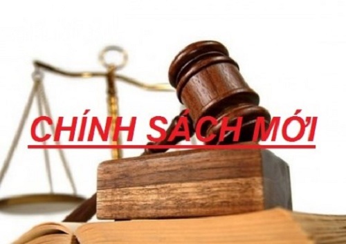 Chính sách mới nổi bật có hiệu lực tháng 12/2019